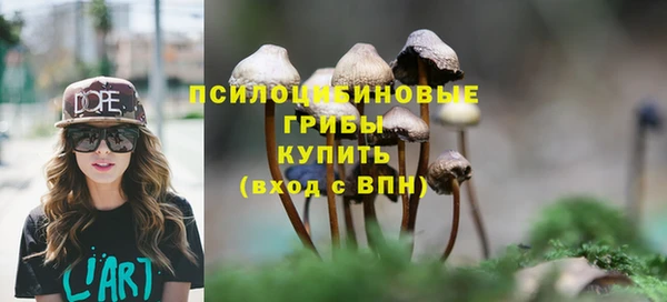 винт Переславль-Залесский