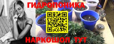 гидра Балахна