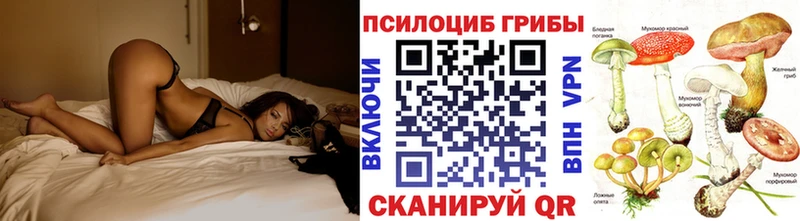 Псилоцибиновые грибы Cubensis  Спасск-Дальний 