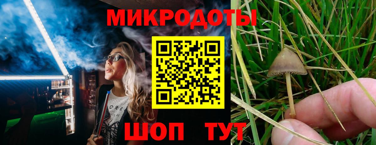 Спасск-Дальний  Псилоцибиновые грибы прущие грибы  Псилоцибиновые грибы GOLDEN TEACHER  Вход с VPN 